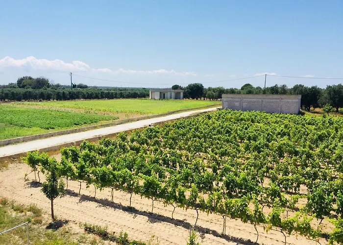 Apartament Antico Vigneto *